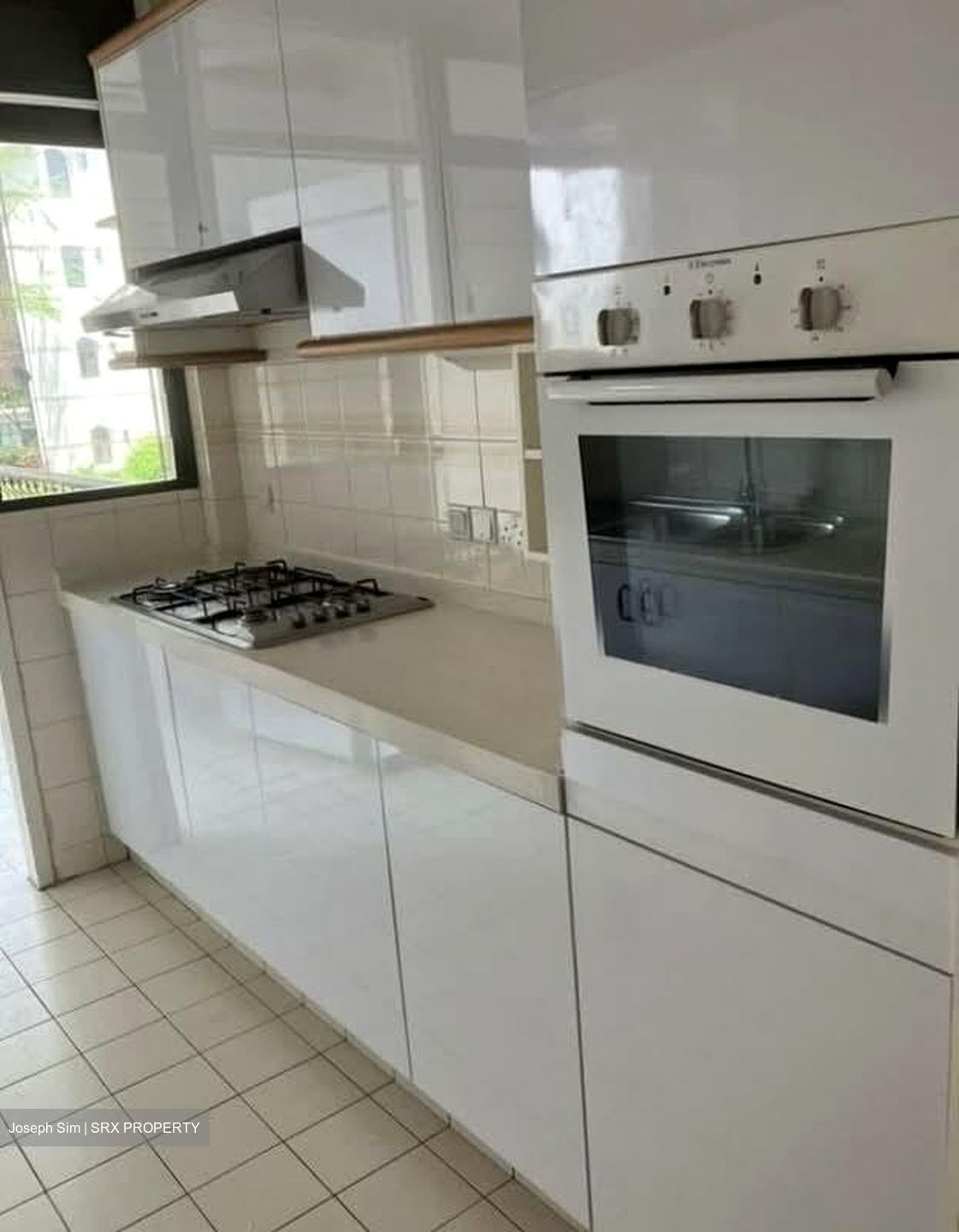 Tanglin Park (D10), Condominium #575735251
